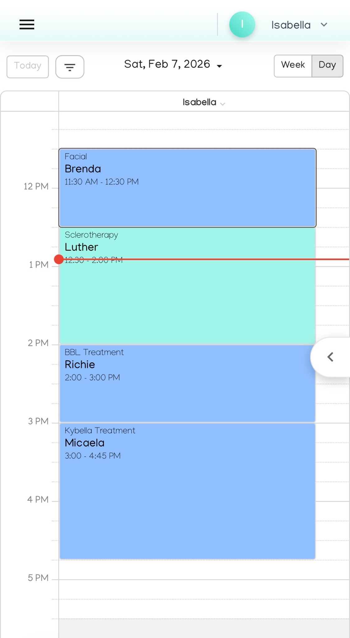 Adalace mobile calendar view